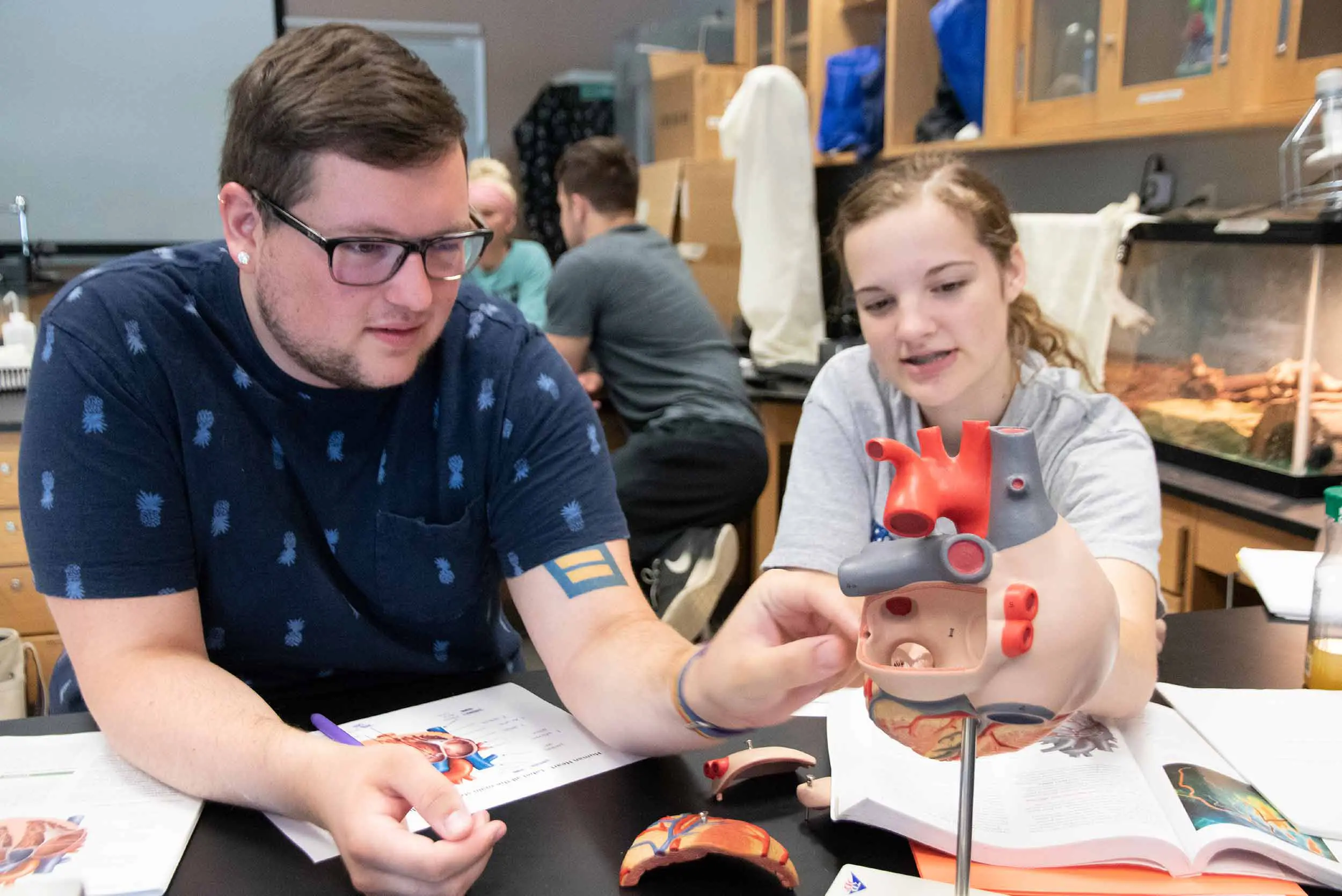 Students collaborating in a biology lab